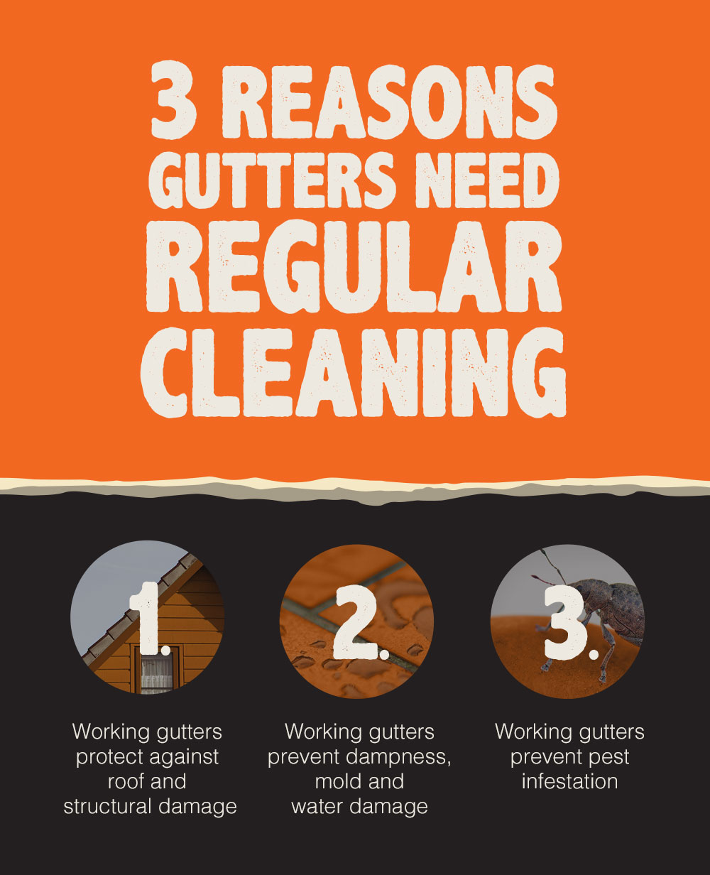 An infographic that states “3 reasons gutters need regular cleaning. 1. Working gutters protect against roof and structural damage. 2. Working gutters prevent dampness, mold and water damage. 3. Working gutters prevent pest infestation.”